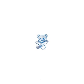 MOTHER-OF-PEARL BUTTON BEAR DESIGN WITH SHANK - SKY BLUE