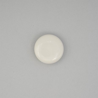 POLISHED GALALITH BUTTON WITH SHANK - CHALK WHITE